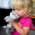 Kissing a Kitty